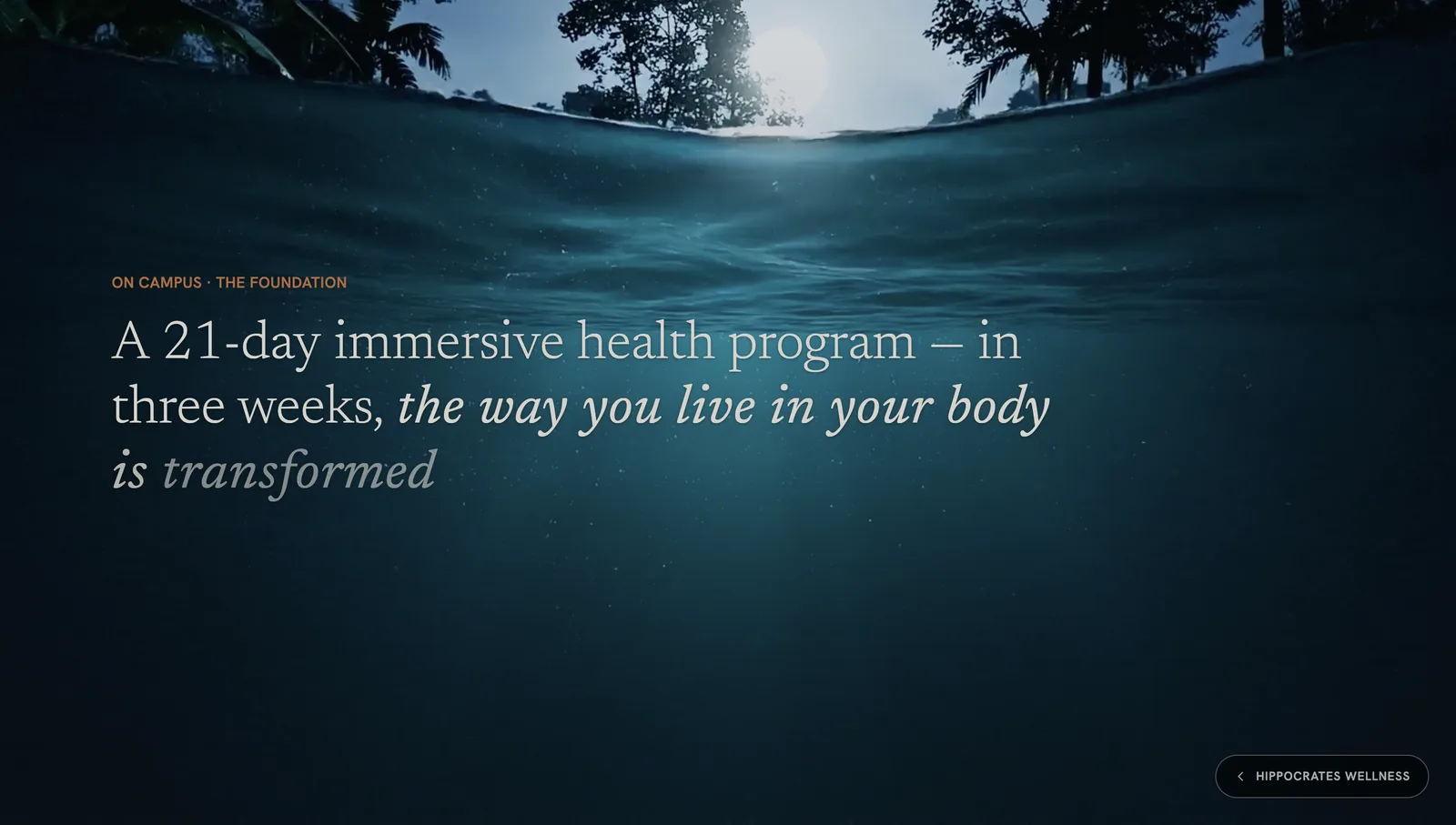 Underwater view with the 21-day program introduction